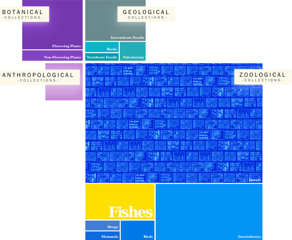 30,000,000 Specimens in the Field Museum of Natural History Specimen Collection